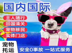 白山长白山机场货运国际宠物托运 【国